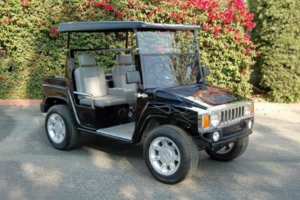 affordable golf cart rental, golf cart rent providence